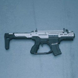 P4-AR Rifle